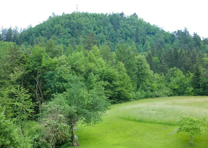 Holiday Lake Apartman *